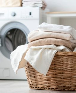 WhatsApp Image 2025-09-10 at 7.17.54 PM